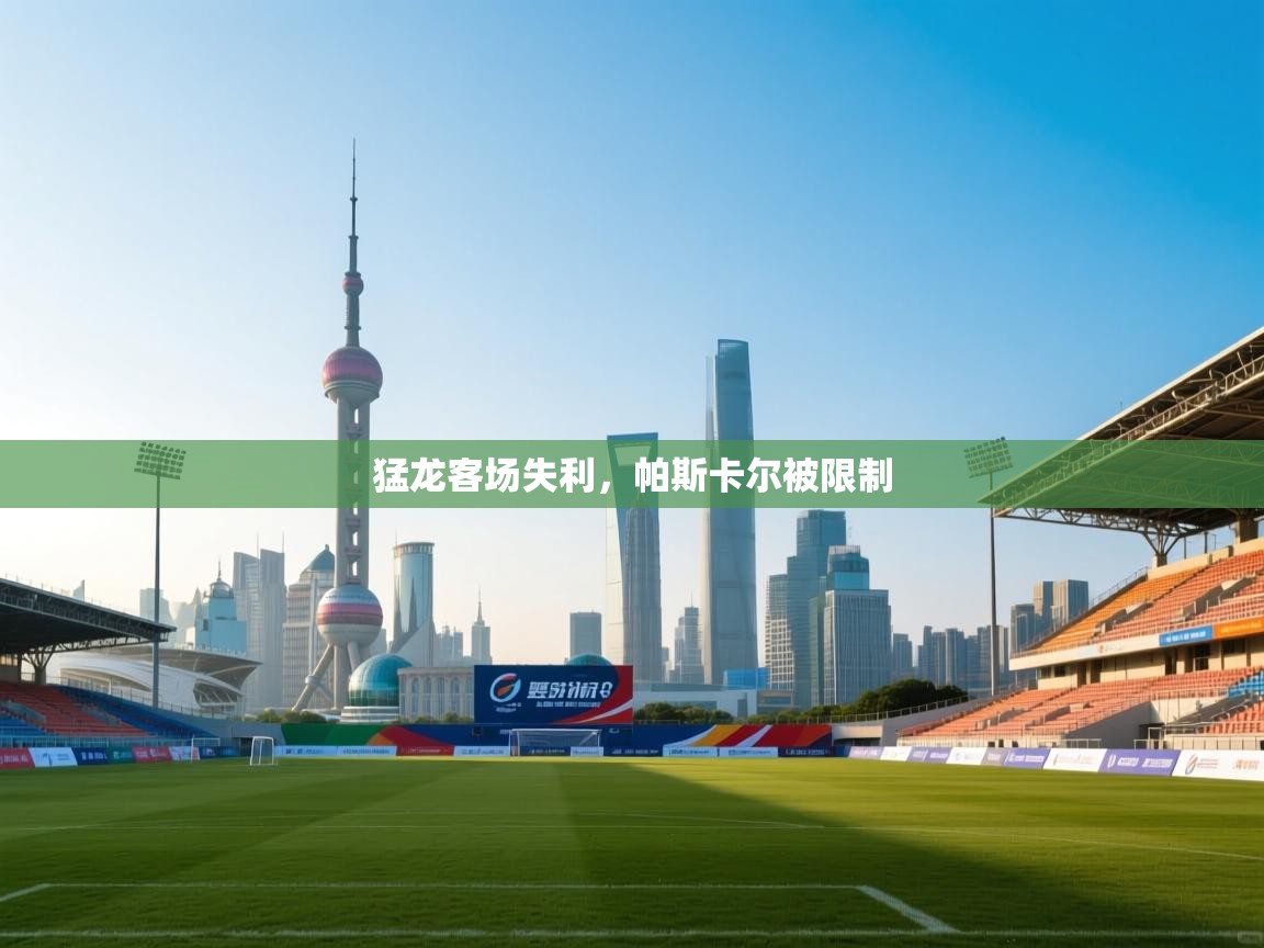 云开体育官方app下载-猛龙客场失利，帕斯卡尔被限制  第3张