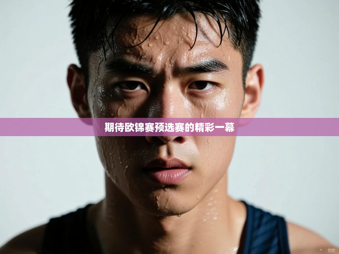 开云体育入口邀请码-期待欧锦赛预选赛的精彩一幕 第2张